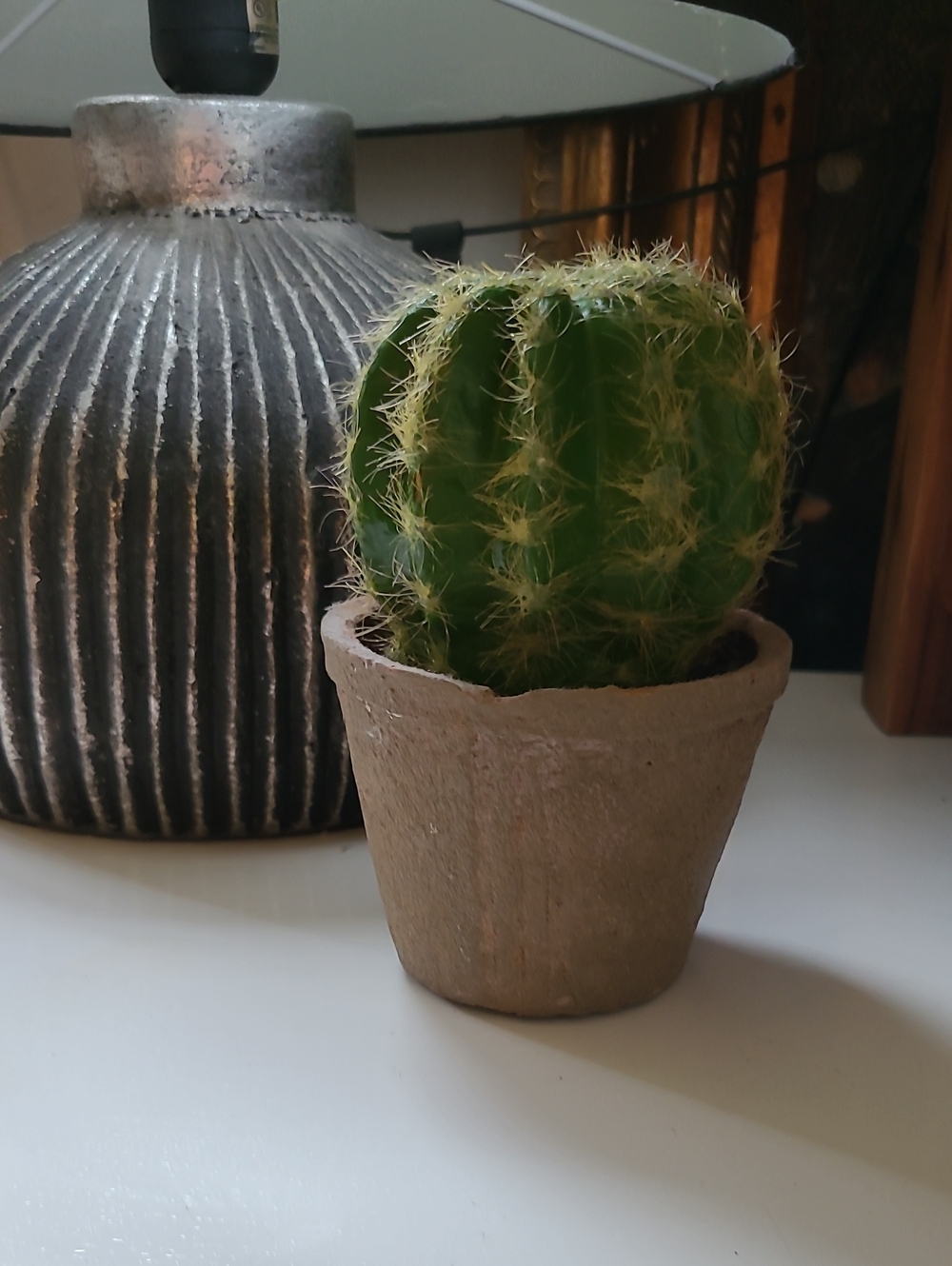 CB2 Faux Green Potted Cactus